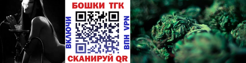Шишки марихуана гибрид  Магас 